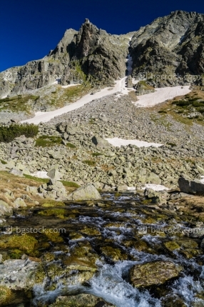 Каменишка кукла до връх Каменица