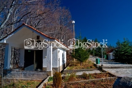 Кръстова гора