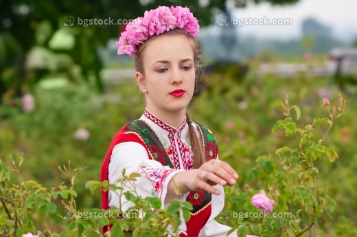 Розобер, празник на розата
