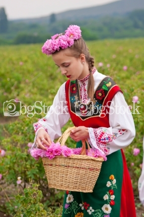 Розобер, празник на розата